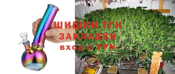 дмт Богородицк