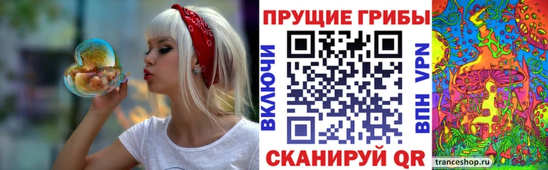 hydra вход  Кузнецк  Галлюциногенные грибы ЛСД 