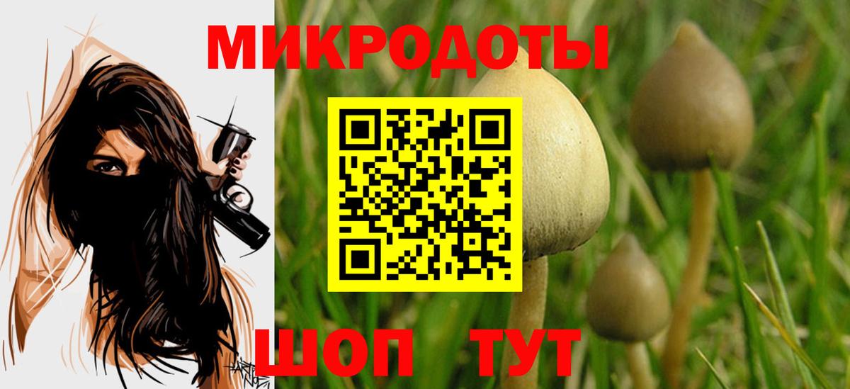Кузнецк  купить   Вход с VPN  Галлюциногенные грибы мухоморы 